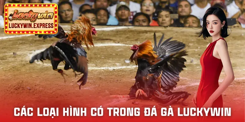 da-ga-luckywin-nhung-loai-hinh